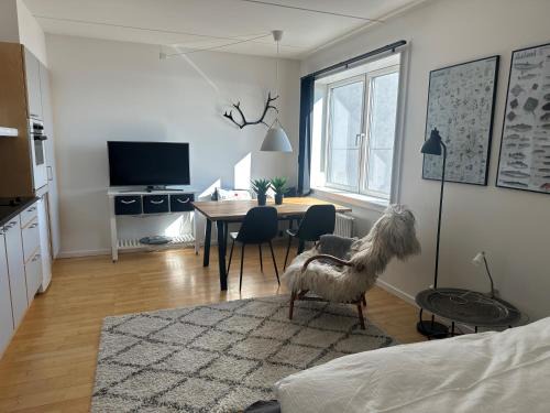 Nuussuaq Apartment | Aurora Studio Apartments