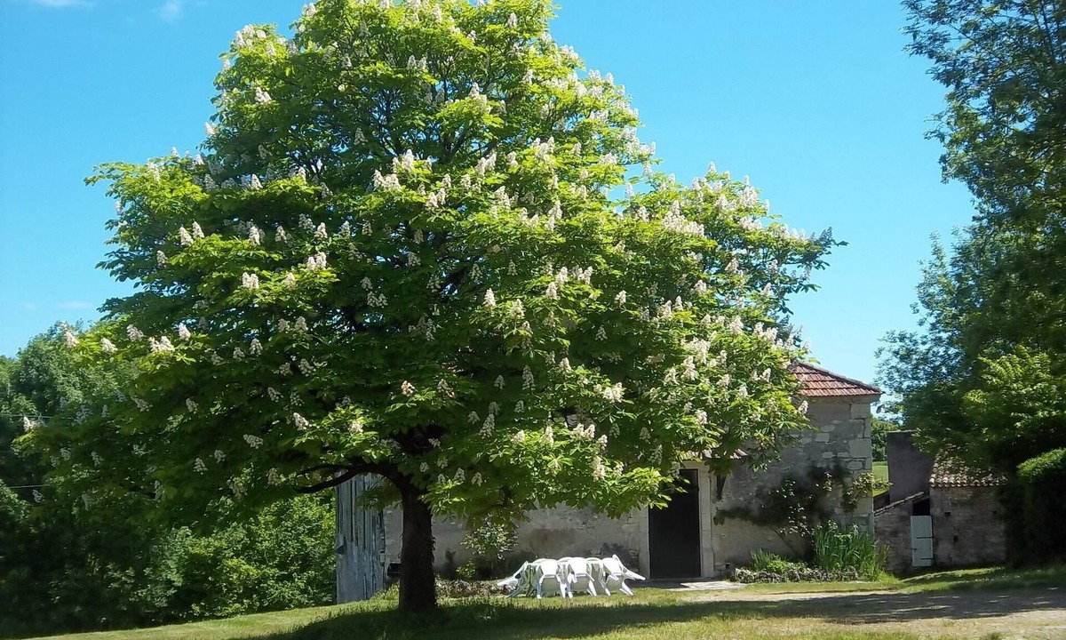 Villeseque House | Authentic Quercynoise farm in the heart of the Cahors vineyard