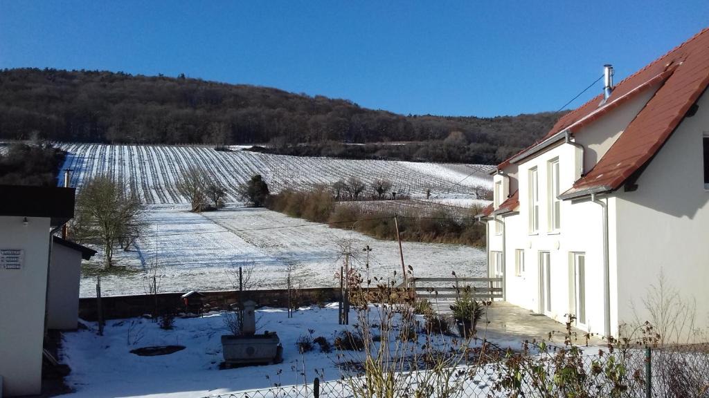 Wissembourg Bed & Breakfast | Aux vignes