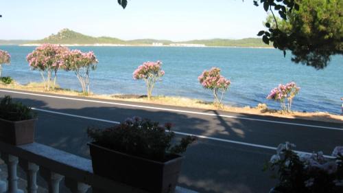 Sefa Camlık House | Ayvalik Dostlar Pansiyon