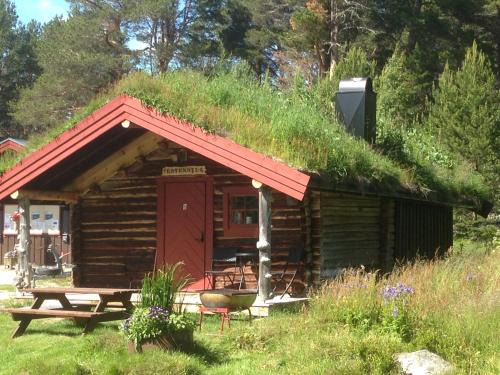 Elga Other | Båtstø Camping