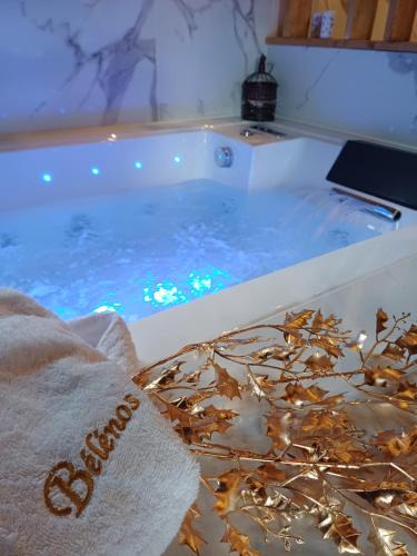 Bligny sur Ouche Hotel | Bélénos - Suites & Spa