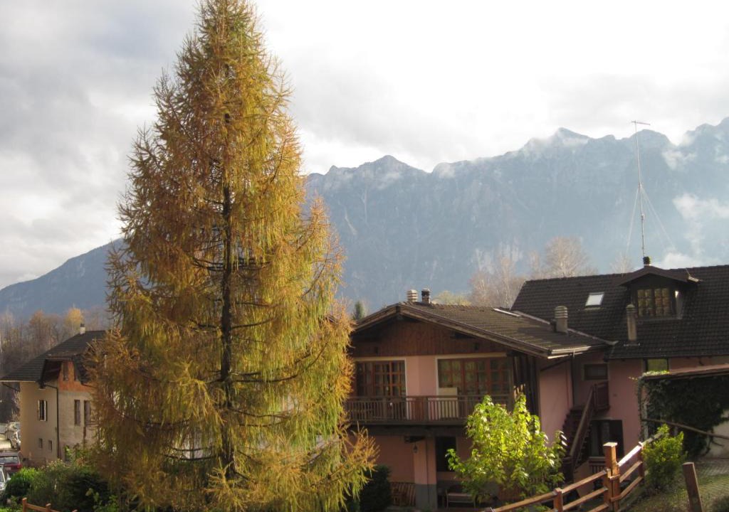 Spera Bed & Breakfast | B&B Al Larice