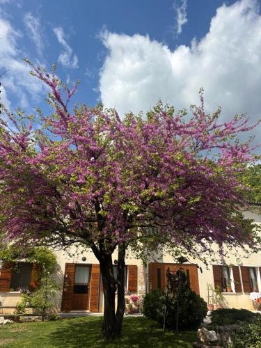 Paderno del Grappa Bed & Breakfast | B&B Altè