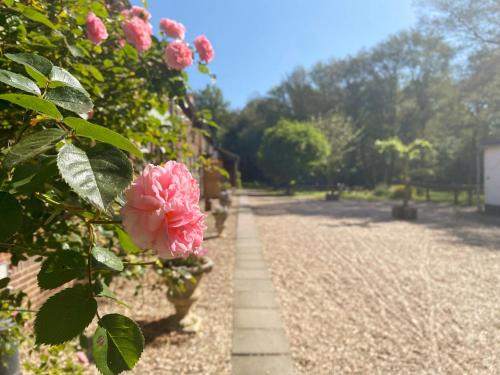 Gening Bed & Breakfast | B&B Angelbeeck