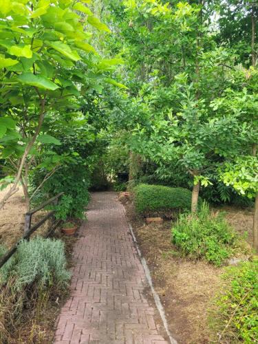 Casanova Lonati Bed & Breakfast | B&B Arcadia