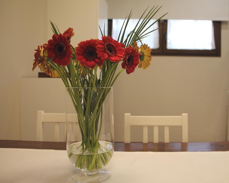 Sardara Bed & Breakfast | B&B Casa Olla