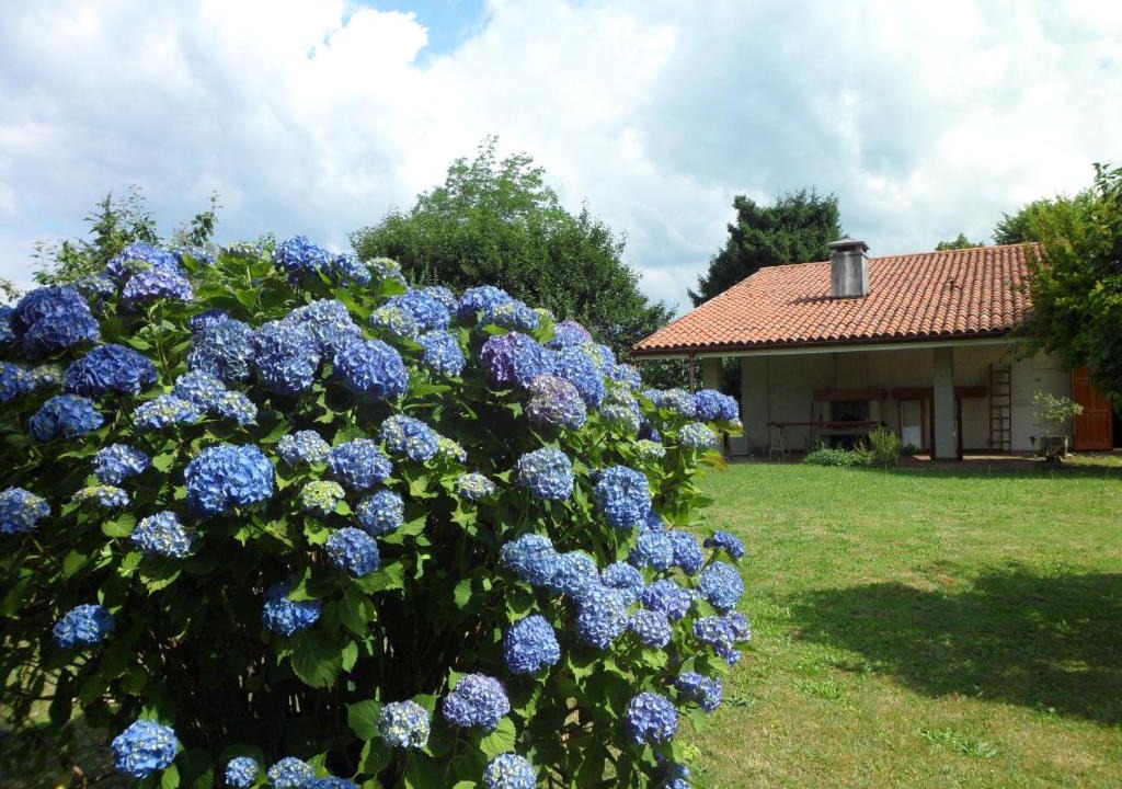 Tricesimo Bed & Breakfast | B&B Cuei di Baret