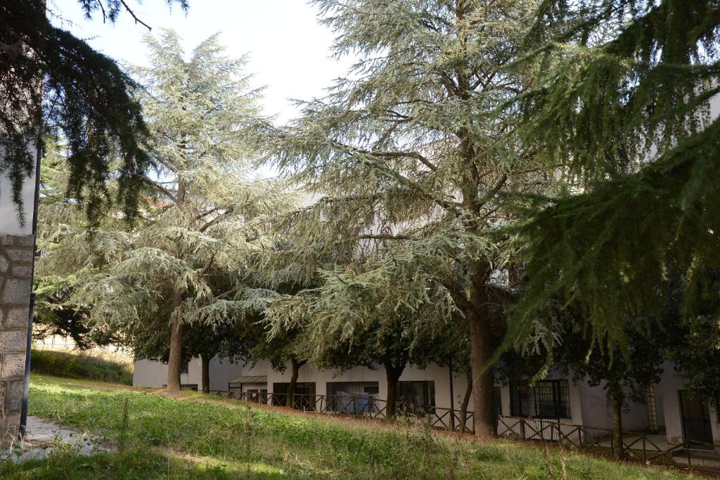 Potenza Bed & Breakfast | B&B Europa
