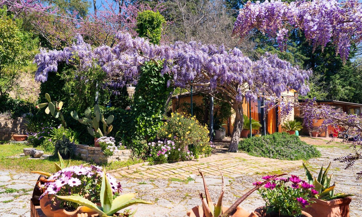 Montesicuro Bed & Breakfast | B&B Glicine