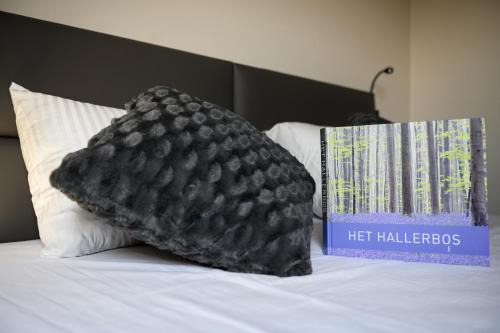 Dworp Bed & Breakfast | B&B Hof ter Kouter