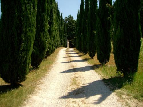 Bevagna Bed & Breakfast | B&B Il Grotto