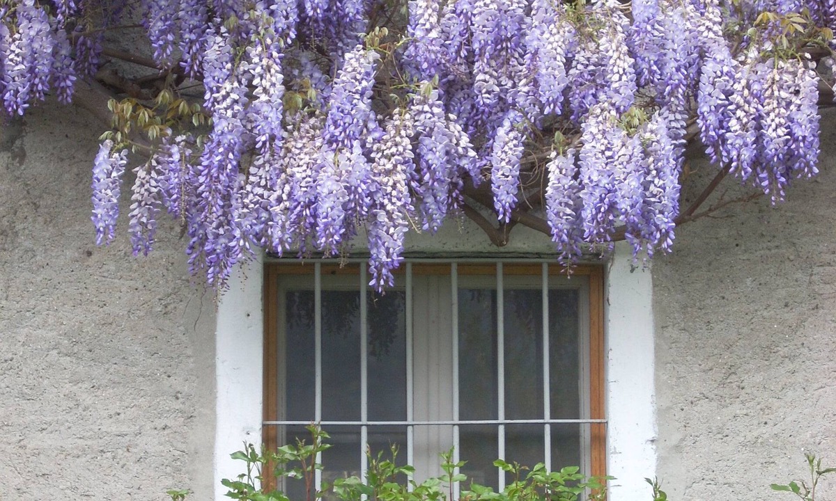 Valtellina Bed & Breakfast | B&B L'Isola