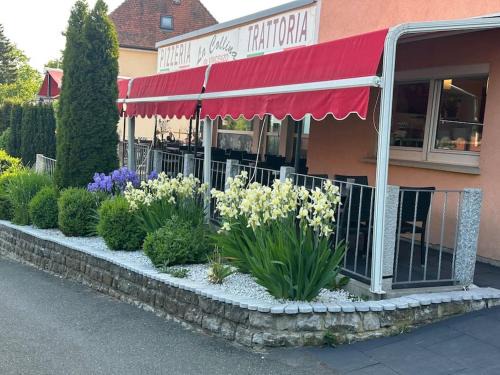 Wilhermsdorf Apartment | B&B la Collina