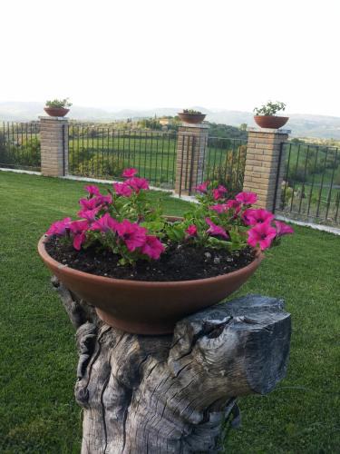 Montemerano Bed & Breakfast | B&B La Piaggia
