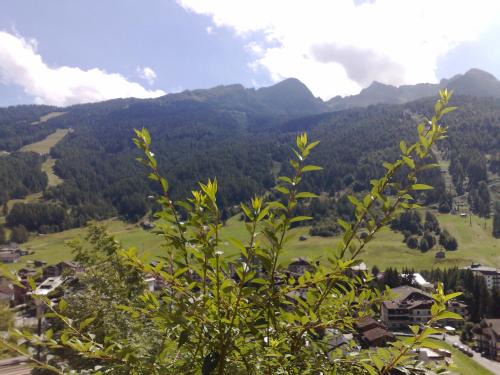 Valtellina Bed & Breakfast | B & B Le Riue