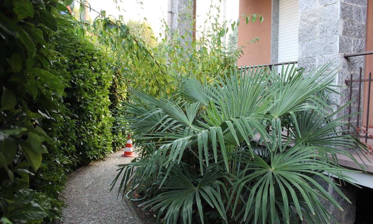 Castano Primo Bed & Breakfast | B&B Milano Malpensa 1