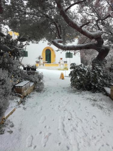 Cisternino Bed & Breakfast | B & B Millefiori