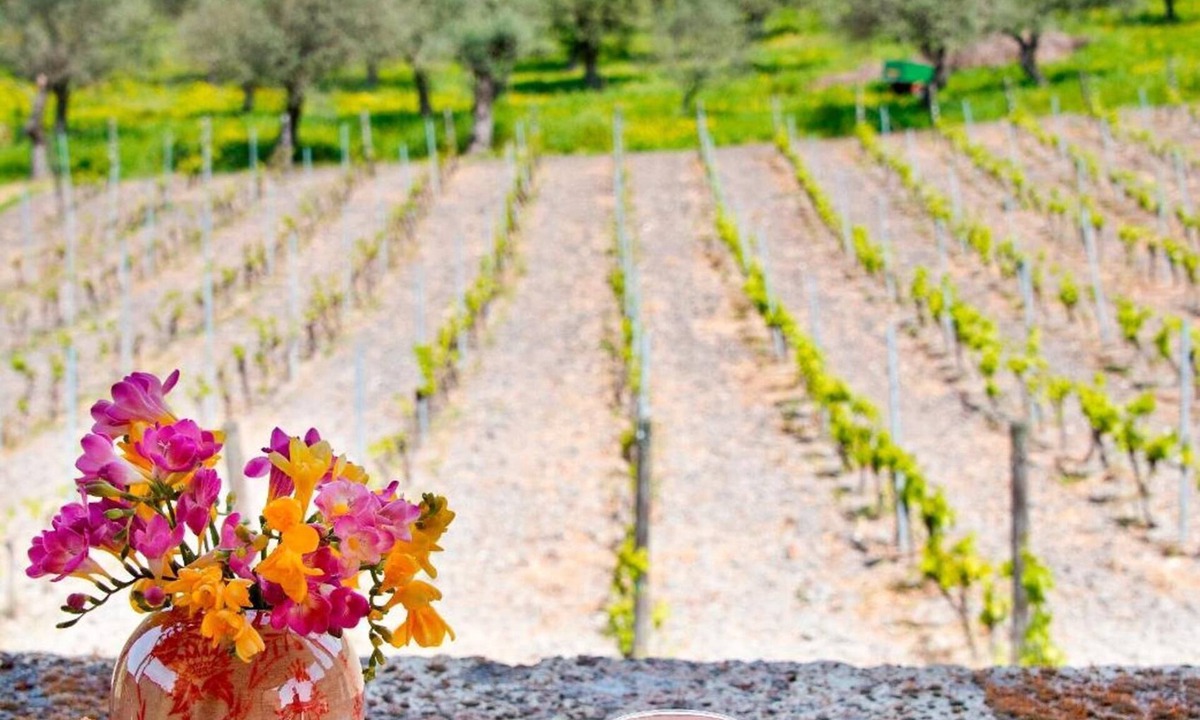 Bosa Bed & Breakfast | B&B Pessighette Dimora di Campagna