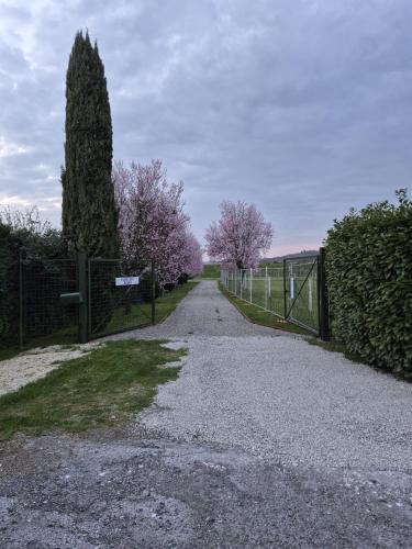 Figline e Incisa Valdarno Bed & Breakfast | B&B Pizziconi Relax