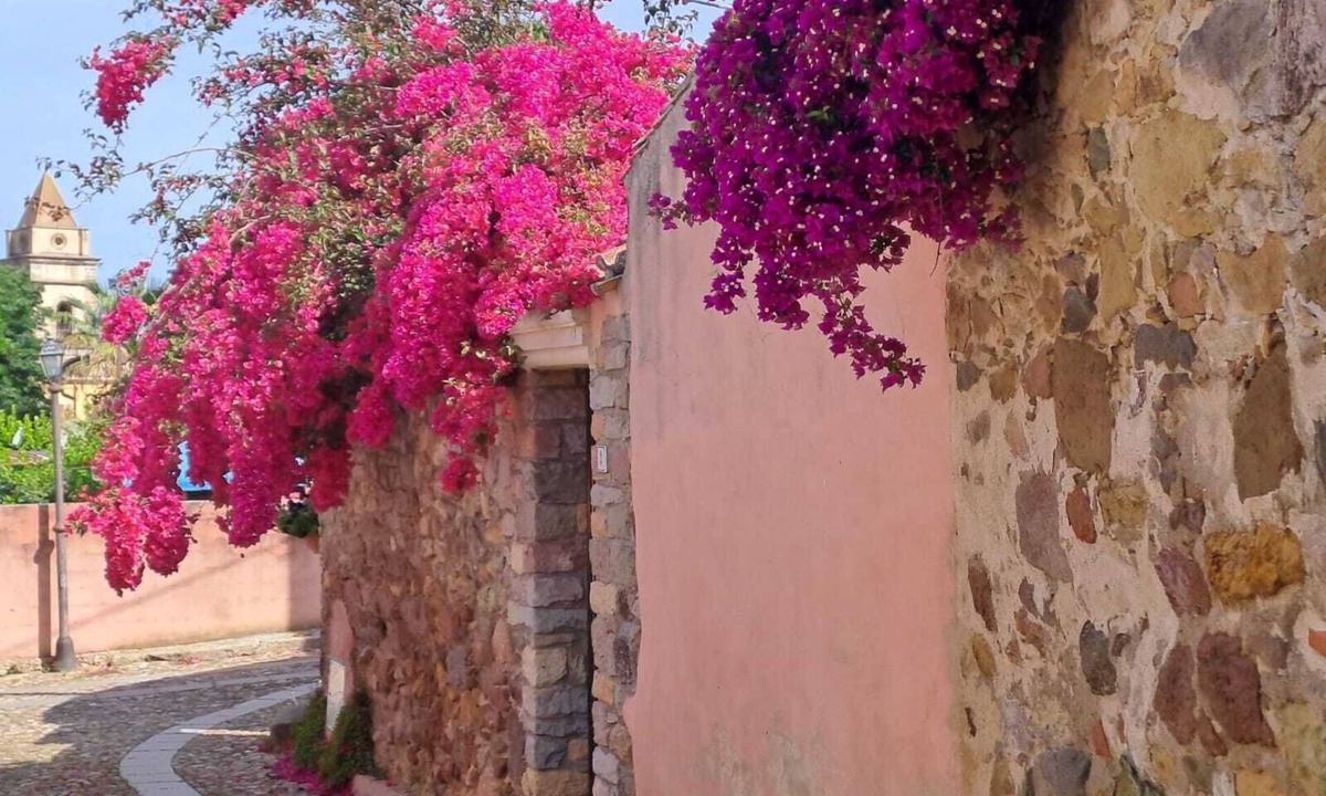 Nureci Bed & Breakfast | B&B S'Omu Antiga