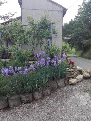 Medesano Bed & Breakfast | B&B San Nicola