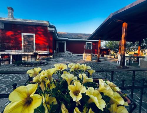 Scurcola Marsicana Bed & Breakfast | B&B Sole e Luna