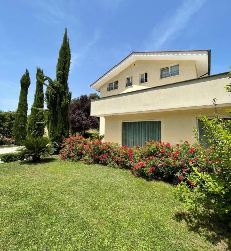 Valmontone Bed & Breakfast | B&B Terra del Sole