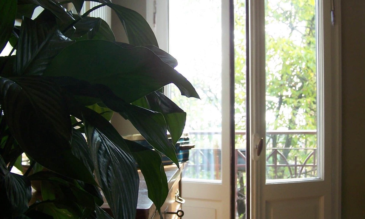 Belgirate Bed & Breakfast | B&B Torre Lara