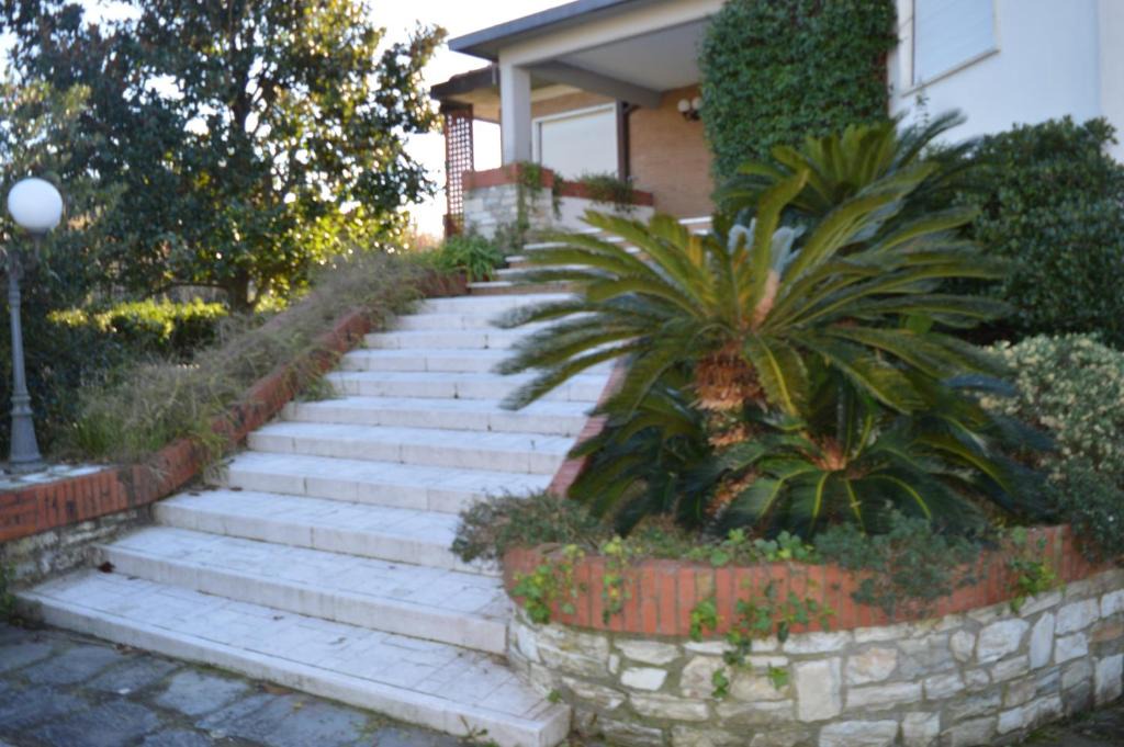 Marina di Carrara Bed & Breakfast | B&B Tra Mare e Marmo