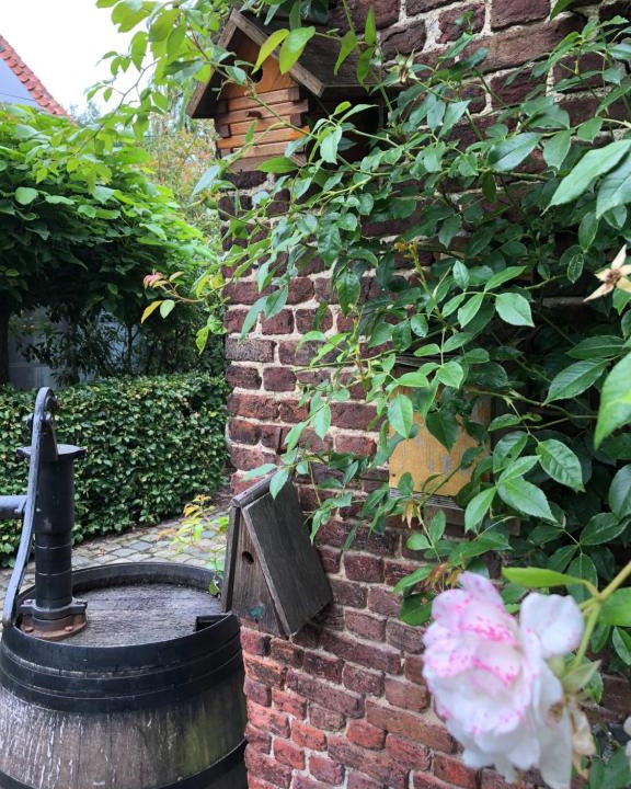 Vremde Bed & Breakfast | B&B Vennehoeve