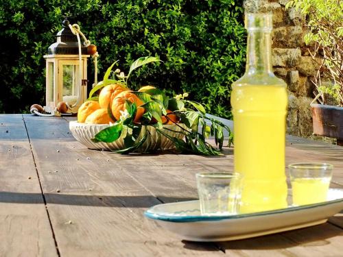 Meta Bed & Breakfast | B&B Villa Elisa