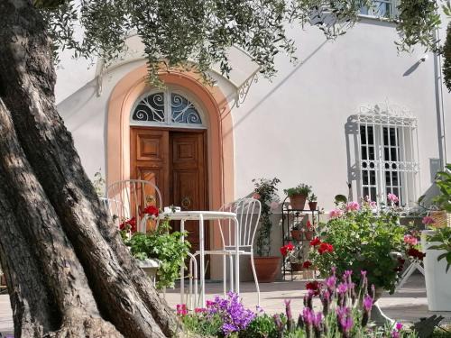 Lucca Historical Center Bed & Breakfast | B&B Villa Lula Lucca