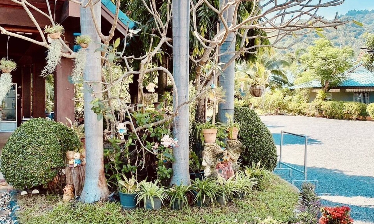 Lamai City Center Hotel | Baan Karnjana Hotel Samui