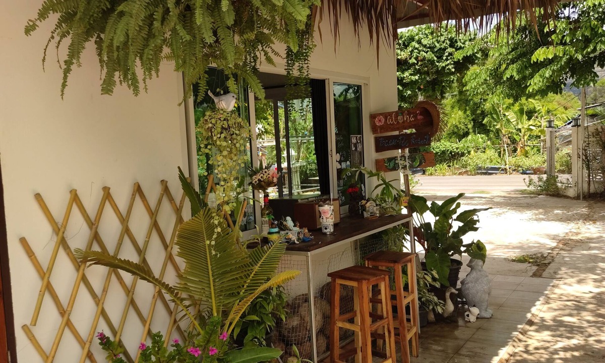 Ban Pong Hostel | BaanPaa Resort