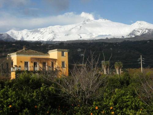 Macchia Bed & Breakfast | Baglio Delle Rose