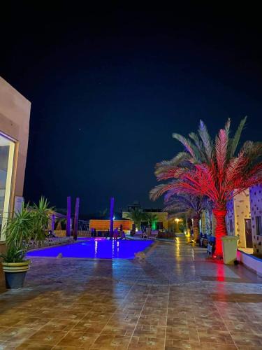 Aqaba Apartment | Bait Alaqaba dive center & resort