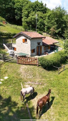San Michele House | Baita di Montagna nella natura - Lago di Como