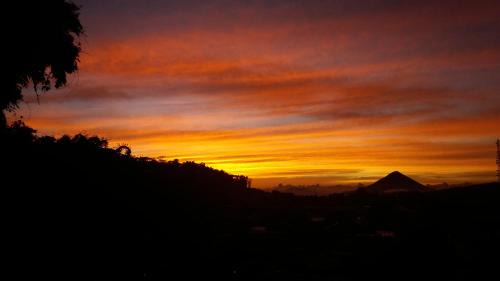 Bajawa Hotel | Bajawa-Roo Hotel