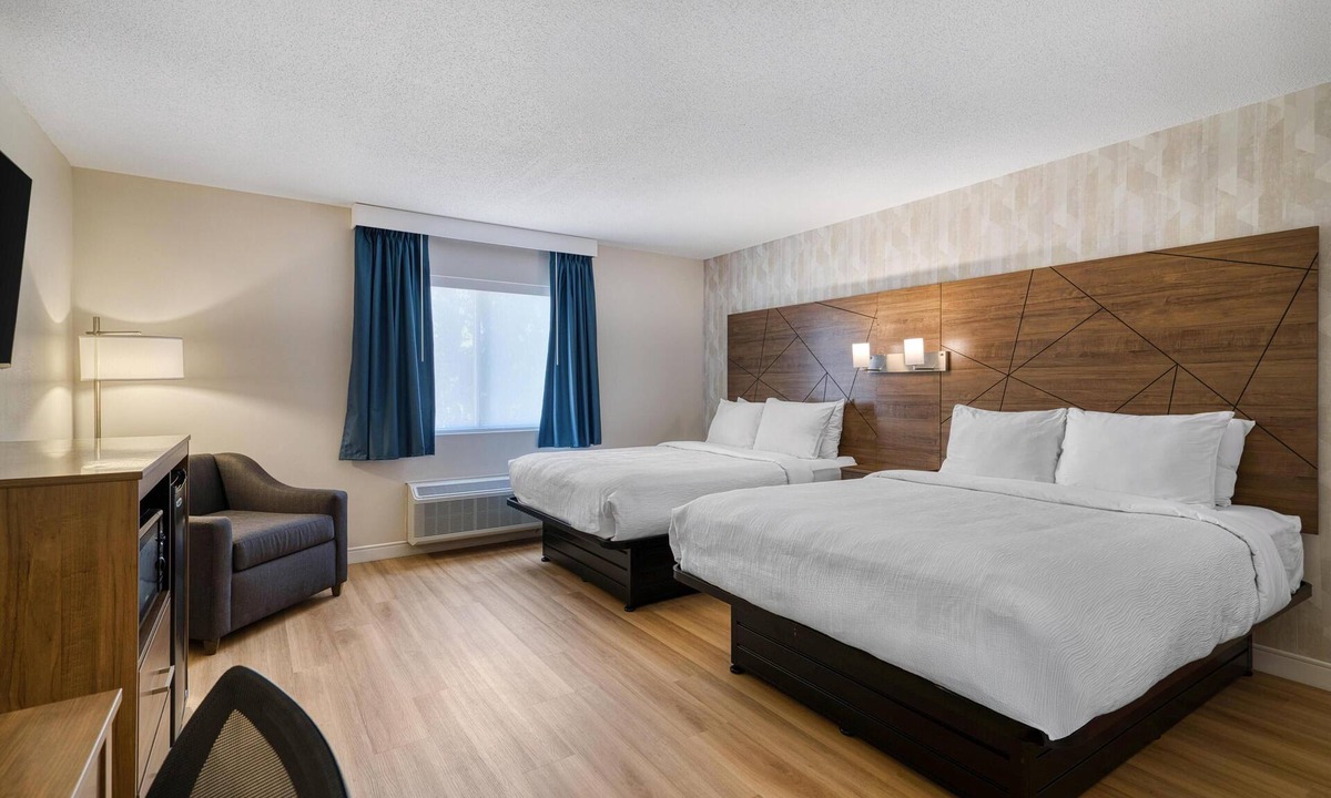 West Springfield Hotel | Baldwin Inn & Suites, SureStay Collection by Best Western