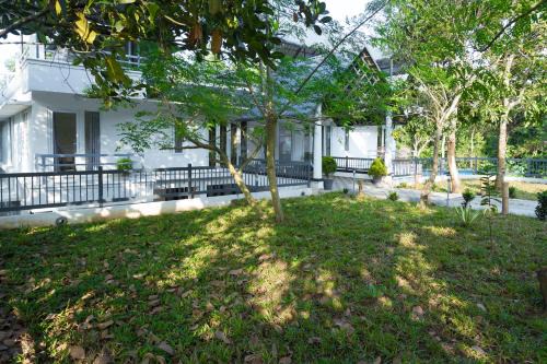 Vazhayil Resort | Bamboo Creak