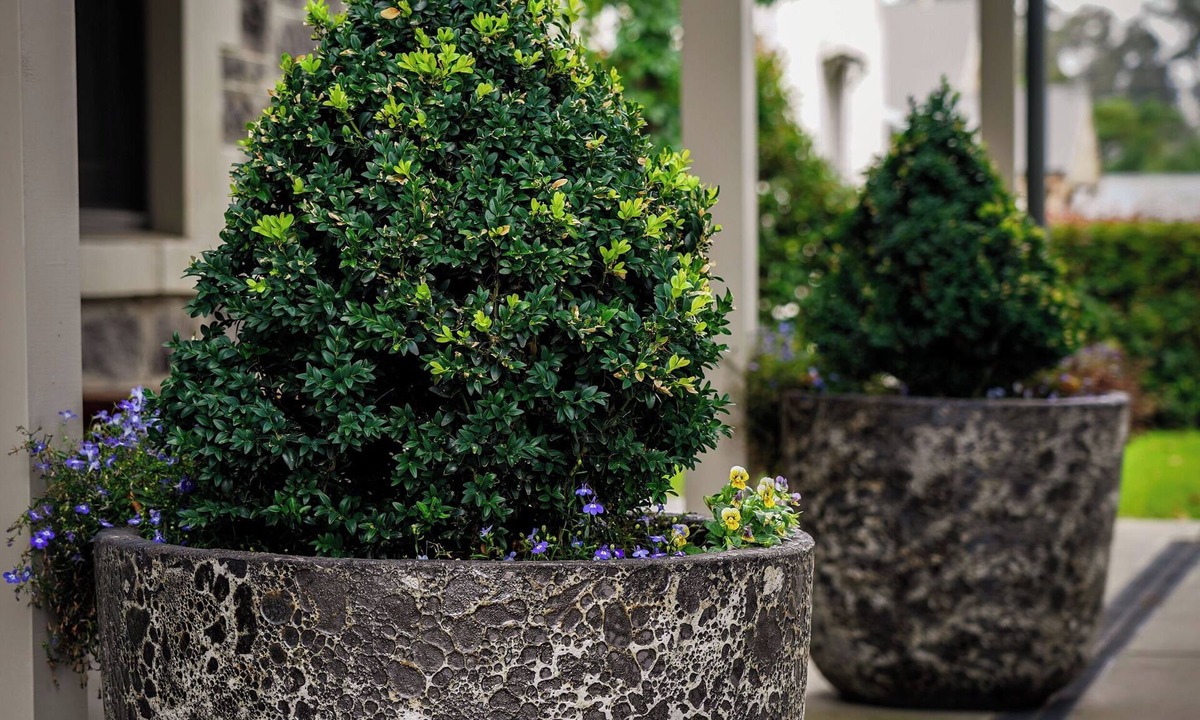 Tanunda House | Barossa Bed & Breakfast