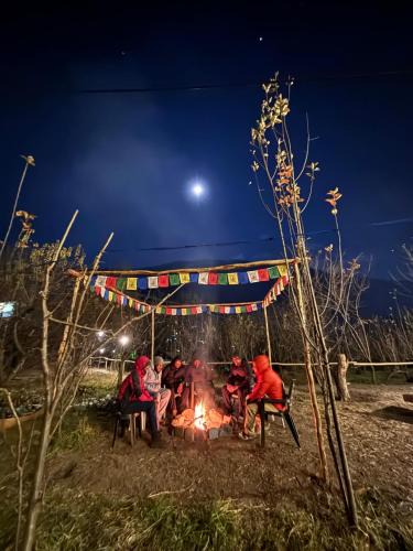 Old Manali Hostel | Basecamp Manali