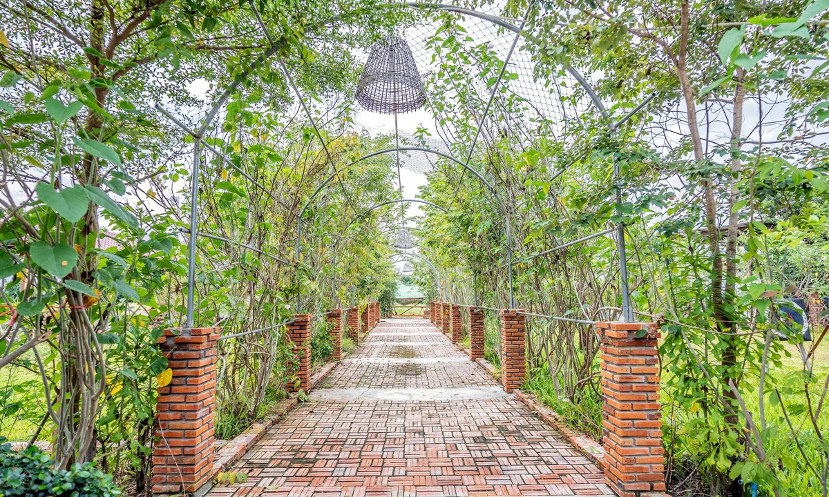 Banan Bed & Breakfast | Bat Rice Resort
