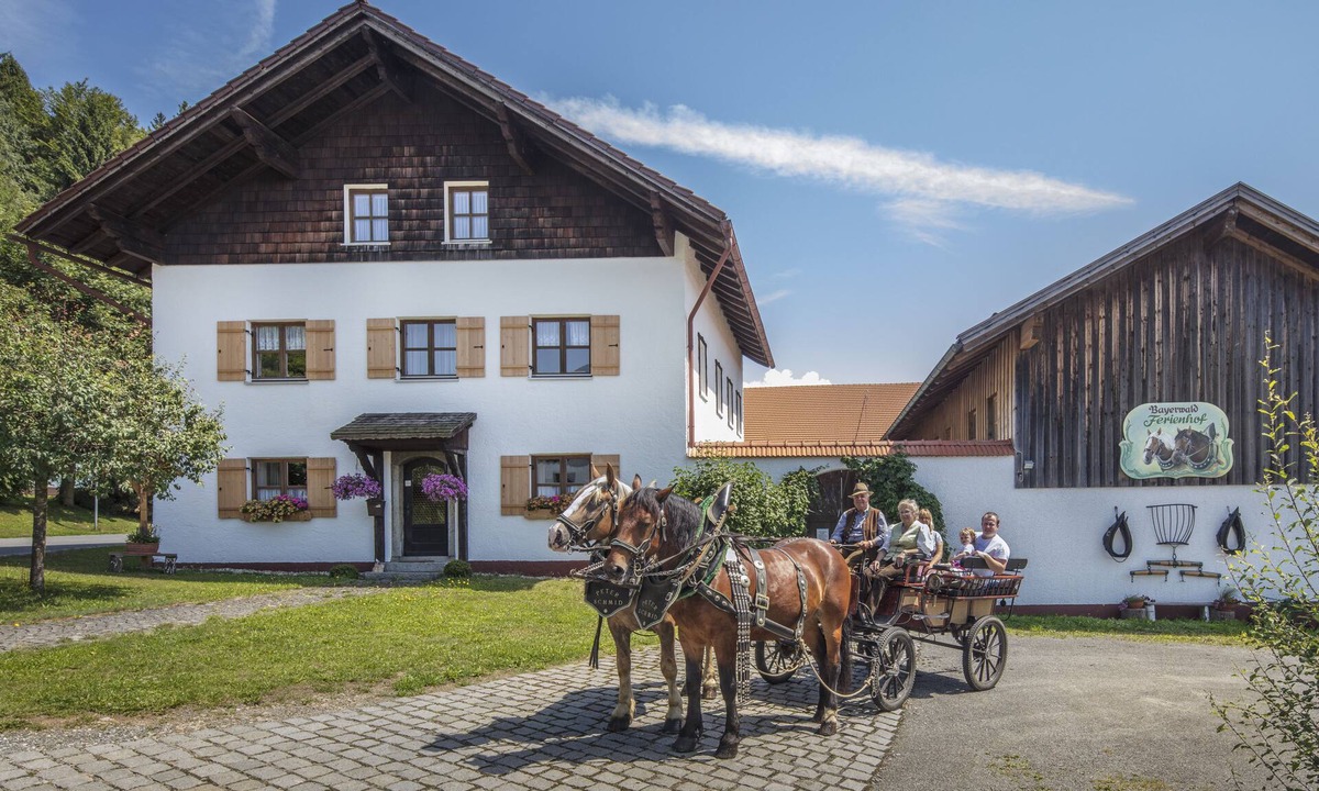 Eppenschlag Apartment | Bayerwald Ferienhof