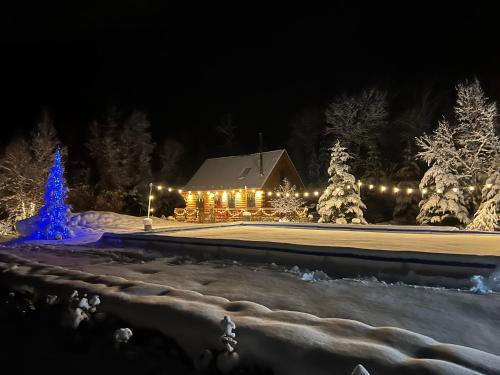 Carroll Villa | BC Log cabin with private beach river fire pit AC wifi onsite trails ski slope views