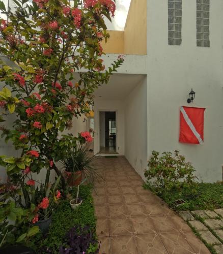 Colonia Adolfo Lopez Mateos Hostel | Be Diving House