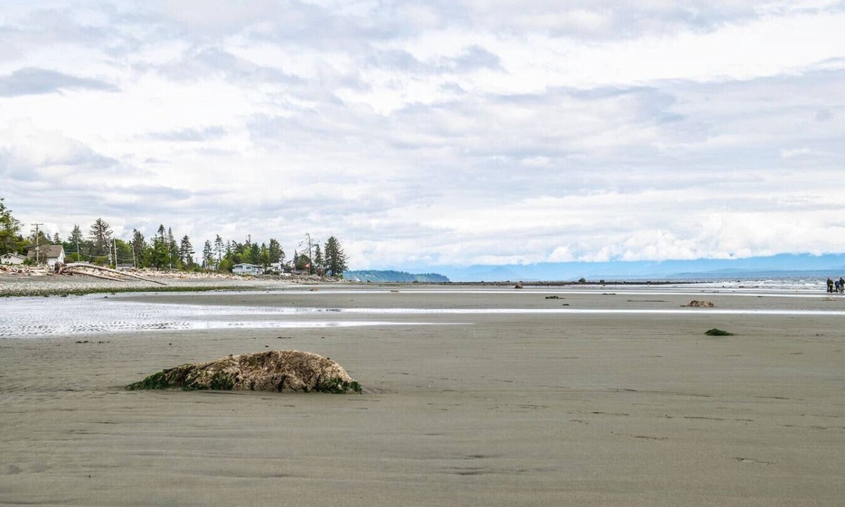 Campbell River Cottage | Beachfront 2 bed | Arcade, A+ Views, Lux King bed