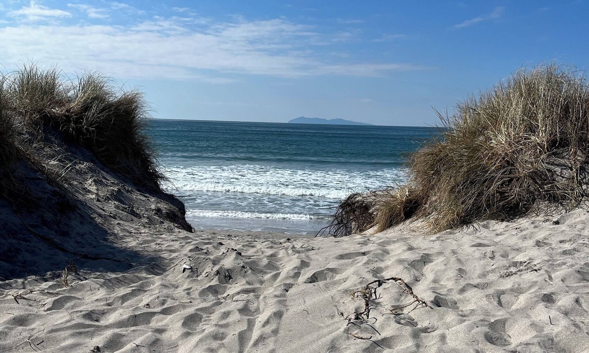 Bowentown House | Beach Bliss Bowentown, Waihi Beach! Four beaches within a stone's throw!