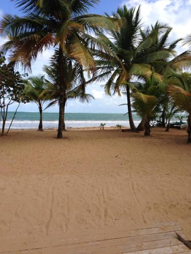 Zarzal Apartment | Beach Front Apartment Rio Mar Puerto Rico